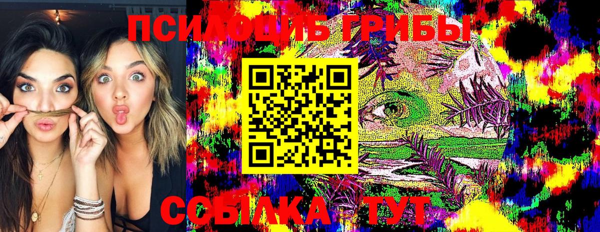 Киселёвск  Псилоцибиновые грибы GOLDEN TEACHER  где купить наркоту  Вход с VPN 